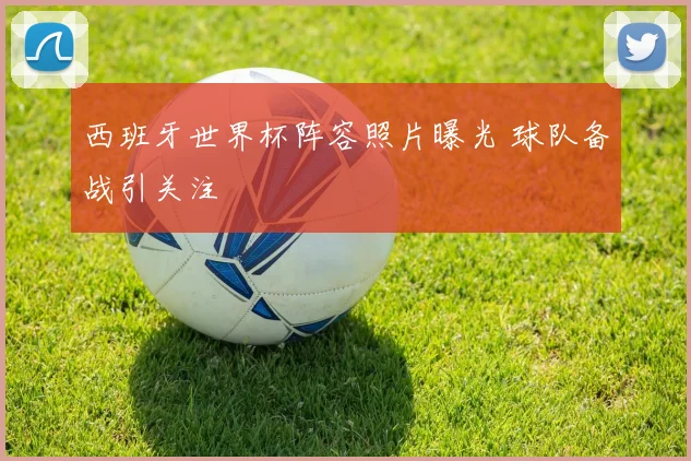 西班牙世界杯阵容照片曝光 球队备战引关注