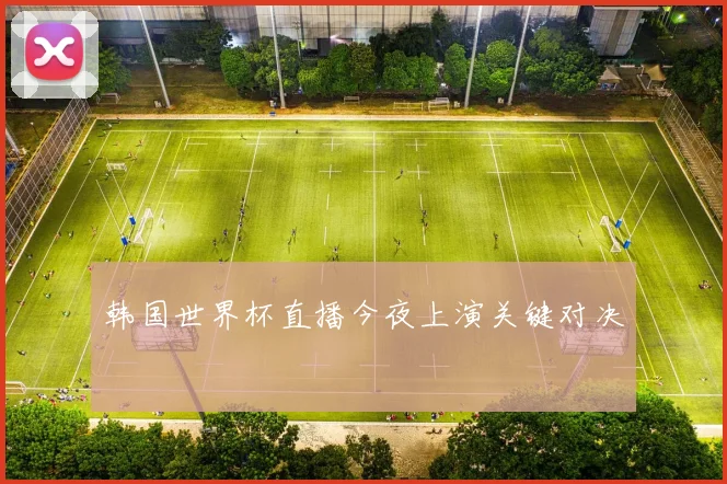 韩国世界杯直播今夜上演关键对决
