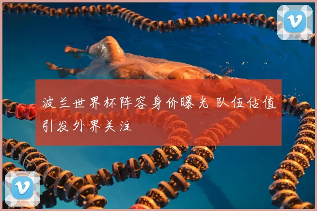 波兰世界杯阵容身价曝光 队伍估值引发外界关注